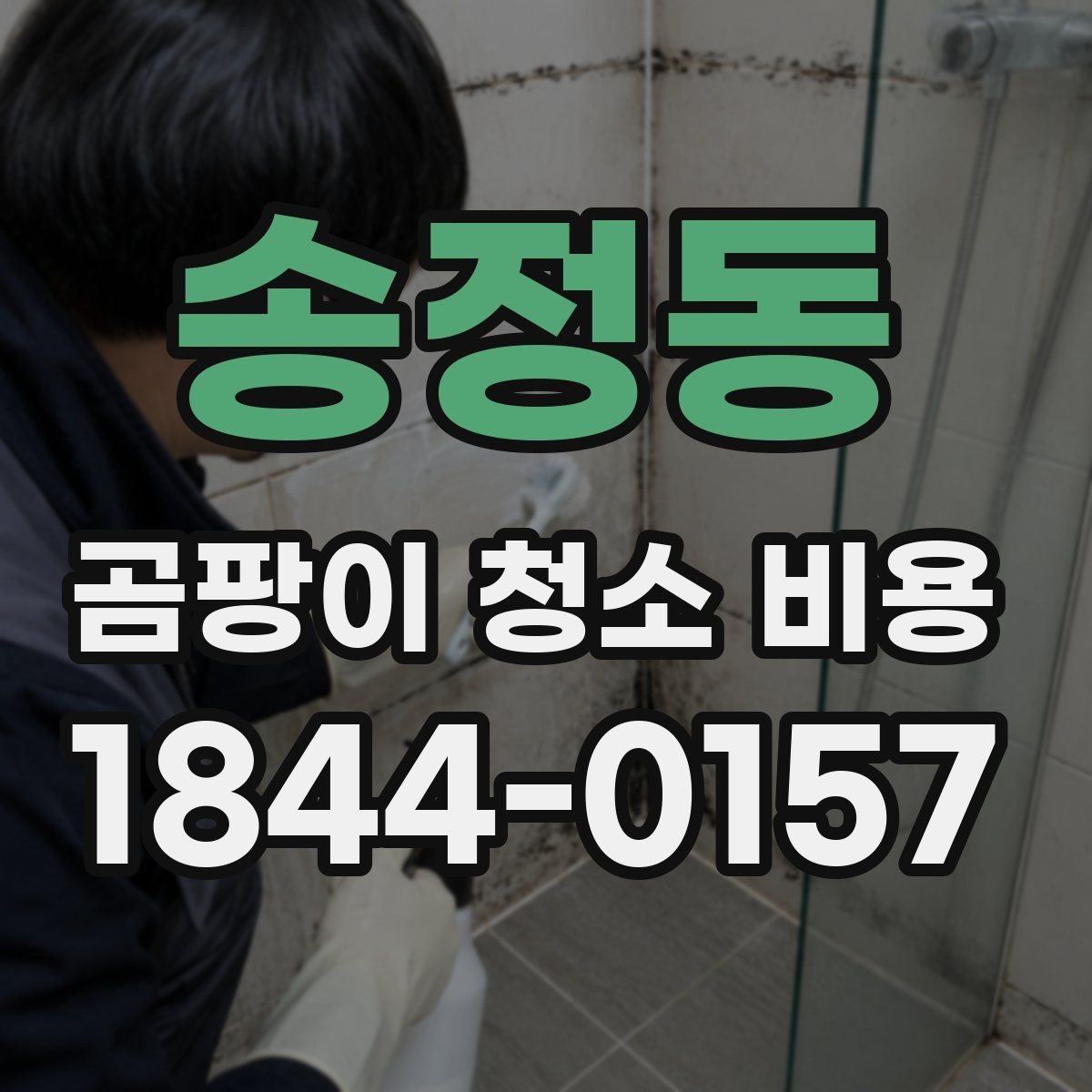 송정동 곰팡이 청소 비용 전체 청소로 넘어가는 경우