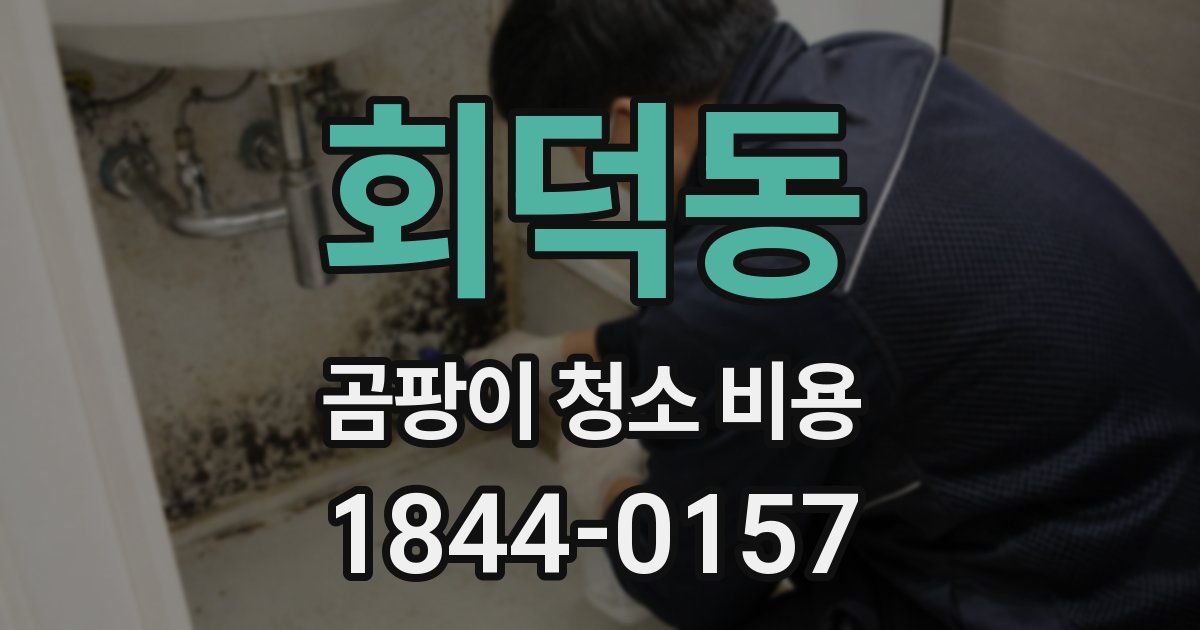 회덕동 곰팡이 청소 비용