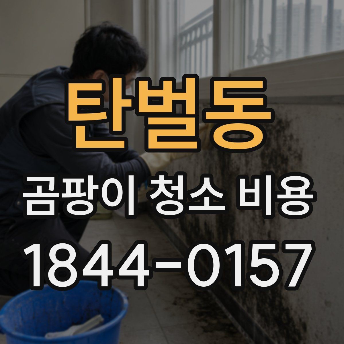 탄벌동 곰팡이 청소 비용 실리콘 오염이 반복되는 환경의 특징