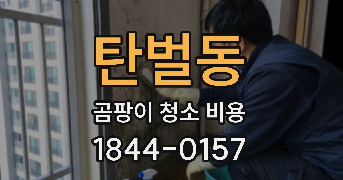 탄벌동 곰팡이 청소 비용