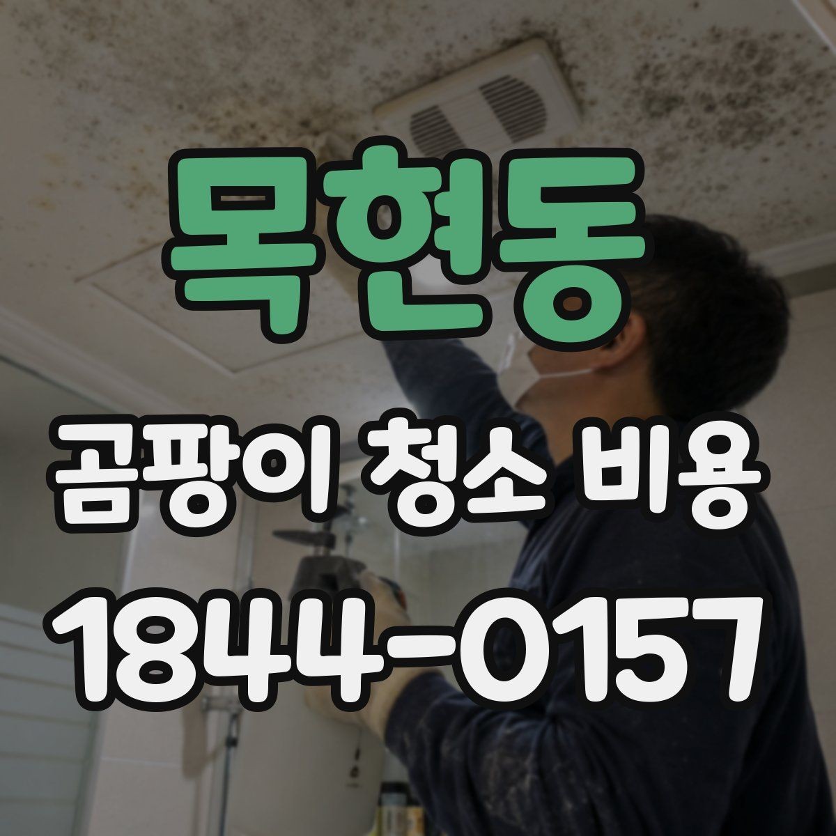 목현동 곰팡이 청소 비용 인건비 산정에서 자주 묻는 체크 포인트