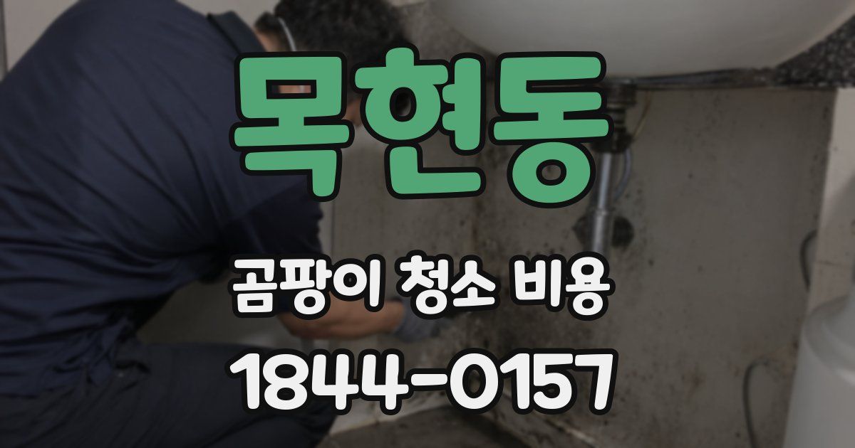 목현동 곰팡이 청소 비용