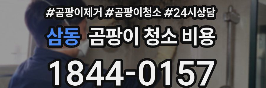 삼동 곰팡이 청소 비용