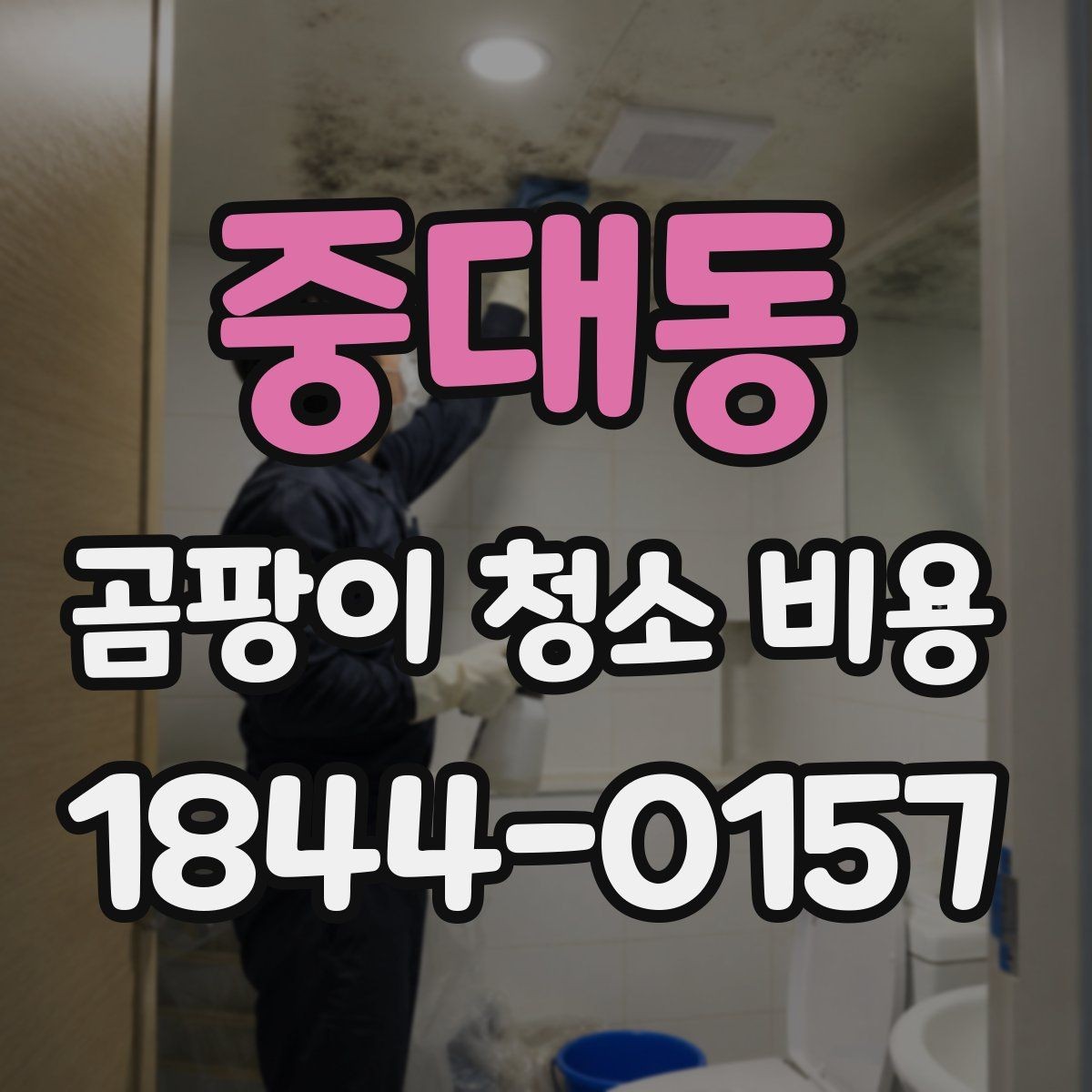 중대동 곰팡이 청소 비용 욕실·베란다 곰팡이 특성에 맞춘 견적 확인
