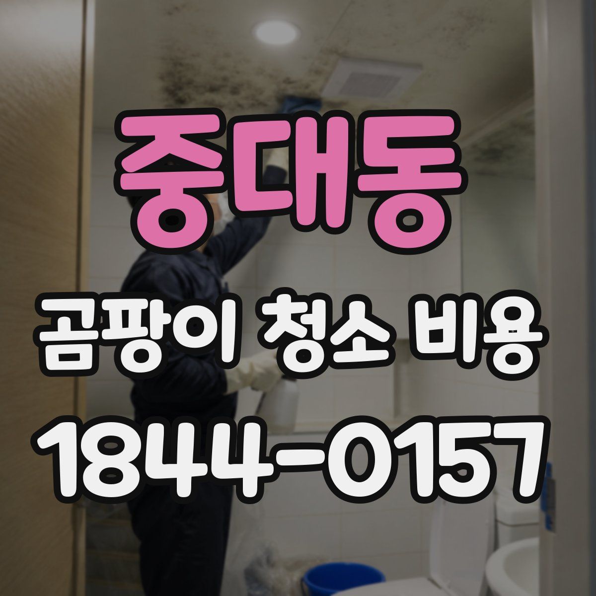 중대동 곰팡이 청소 비용