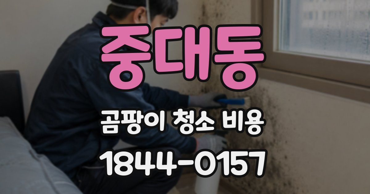 중대동 곰팡이 청소 비용
