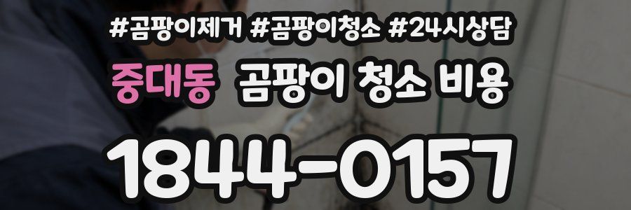 중대동 곰팡이 청소 비용