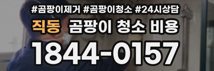 직동 곰팡이 청소 비용