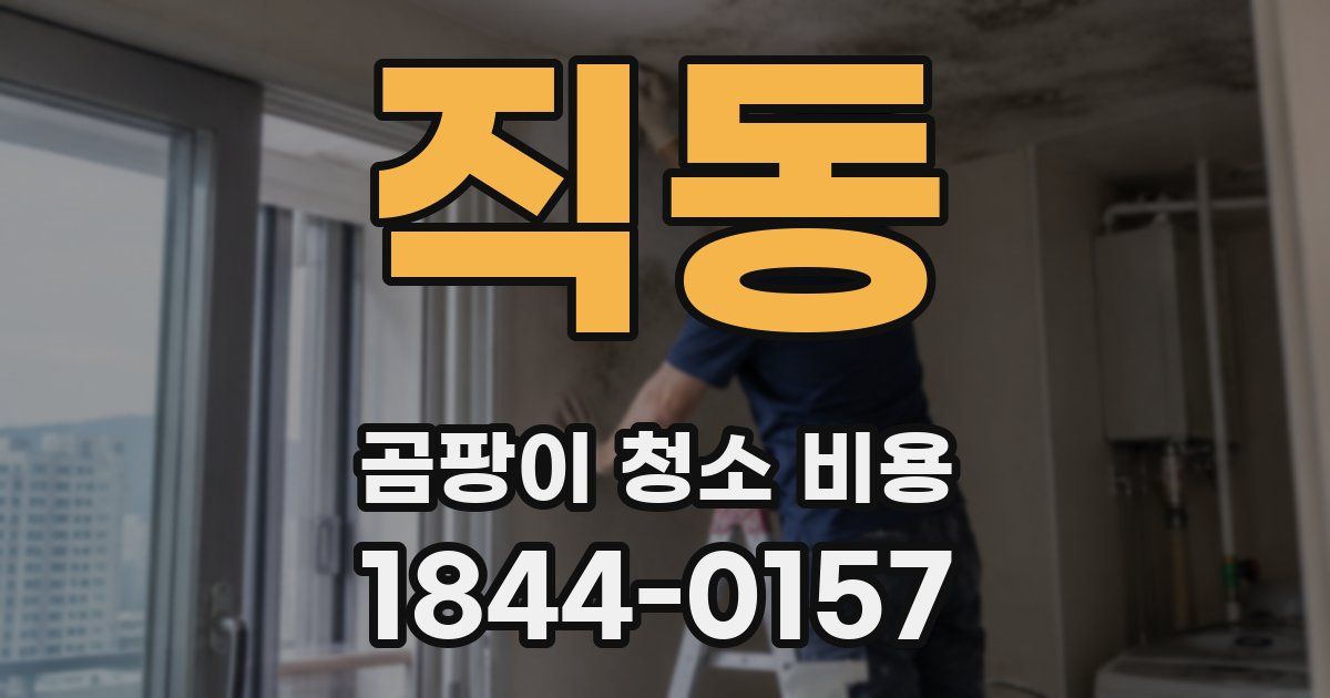 직동 곰팡이 청소 비용