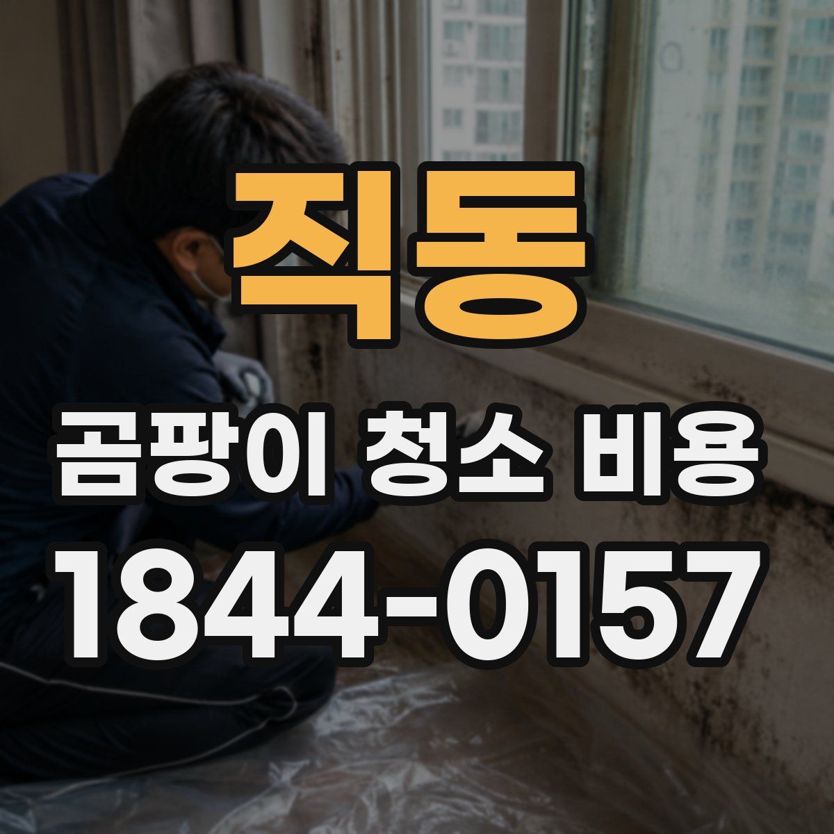 직동 곰팡이 청소 비용