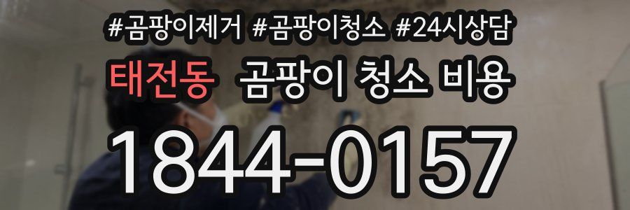 태전동 곰팡이 청소 비용