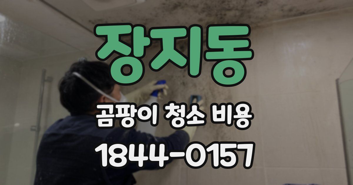 장지동 곰팡이 청소 비용