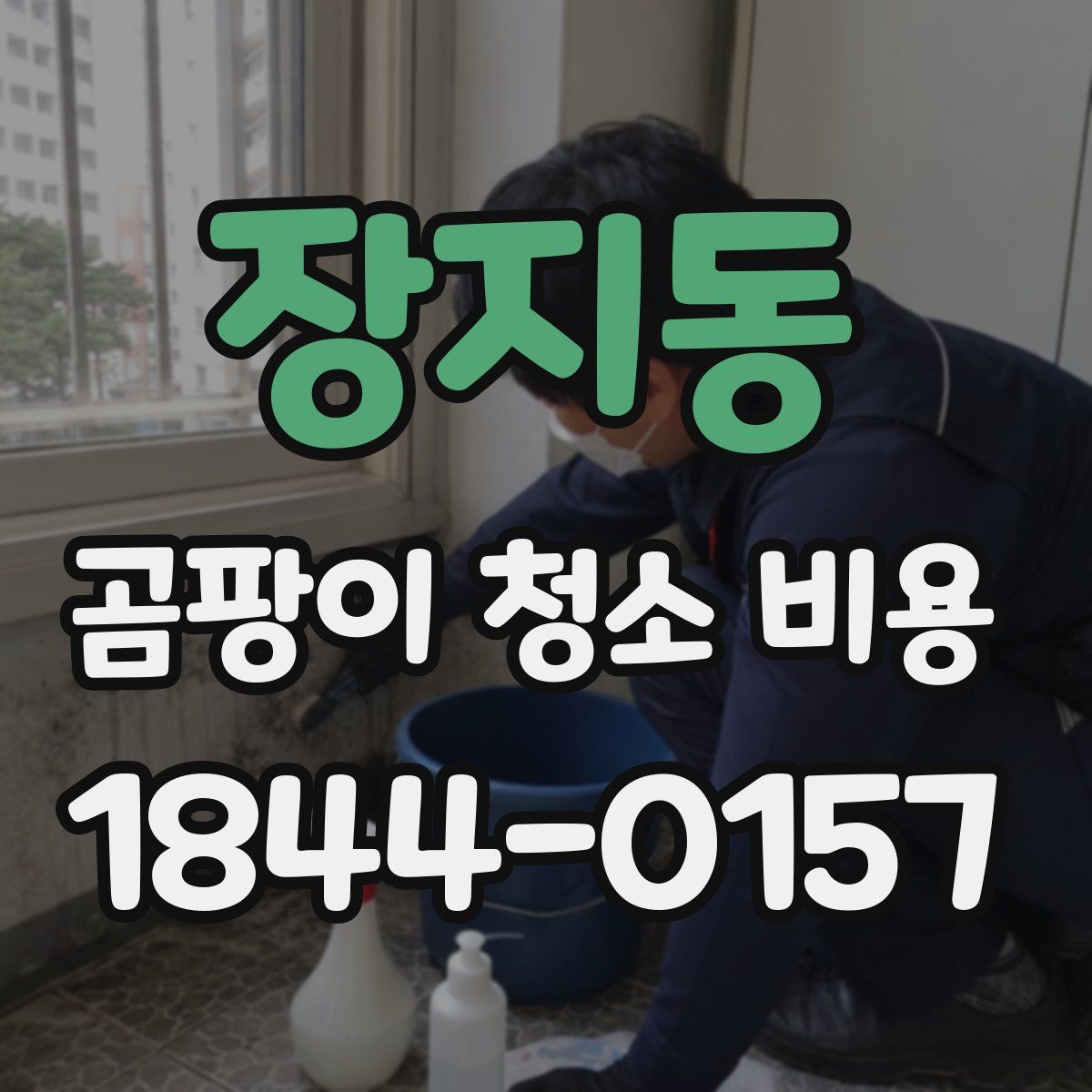 장지동 곰팡이 청소 비용
