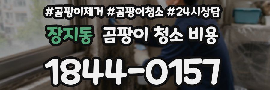 장지동 곰팡이 청소 비용