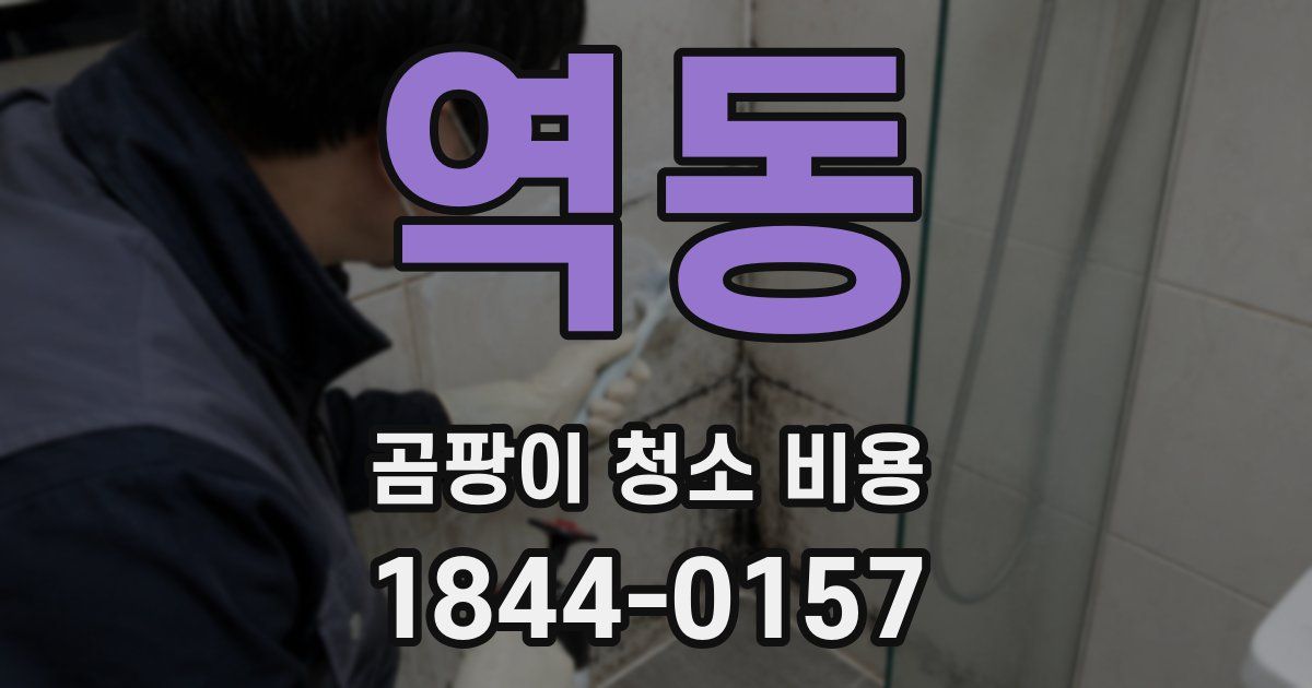 역동 곰팡이 청소 비용