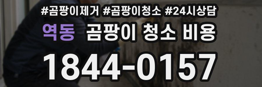 역동 곰팡이 청소 비용