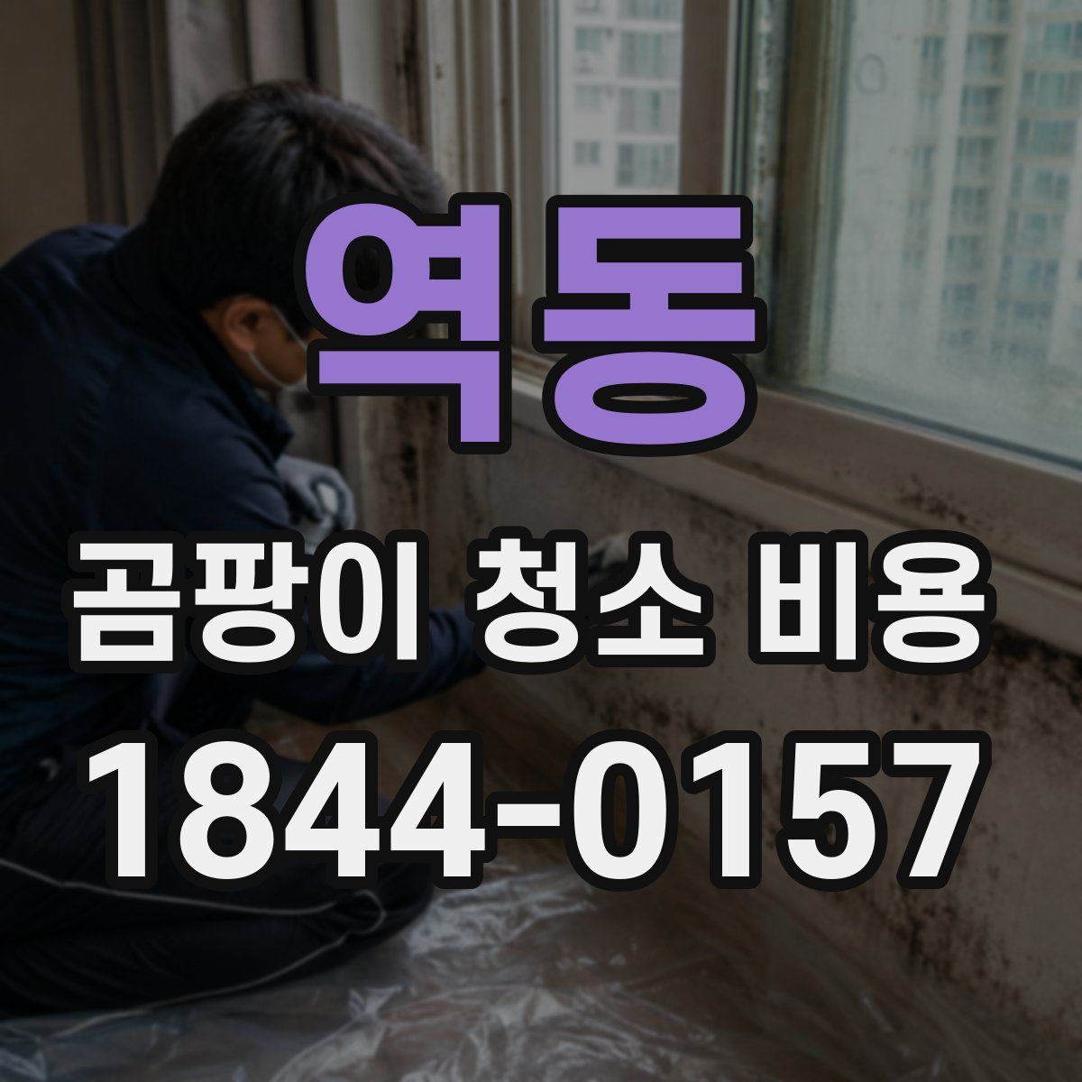역동 곰팡이 청소 비용