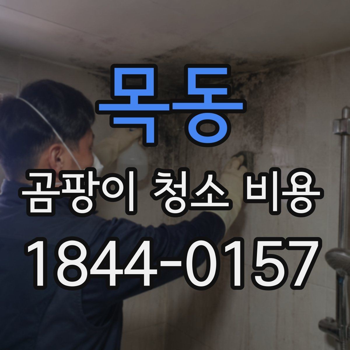 목동 곰팡이 청소 비용 세입자와 집주인 사이 비용 분담을 볼 때