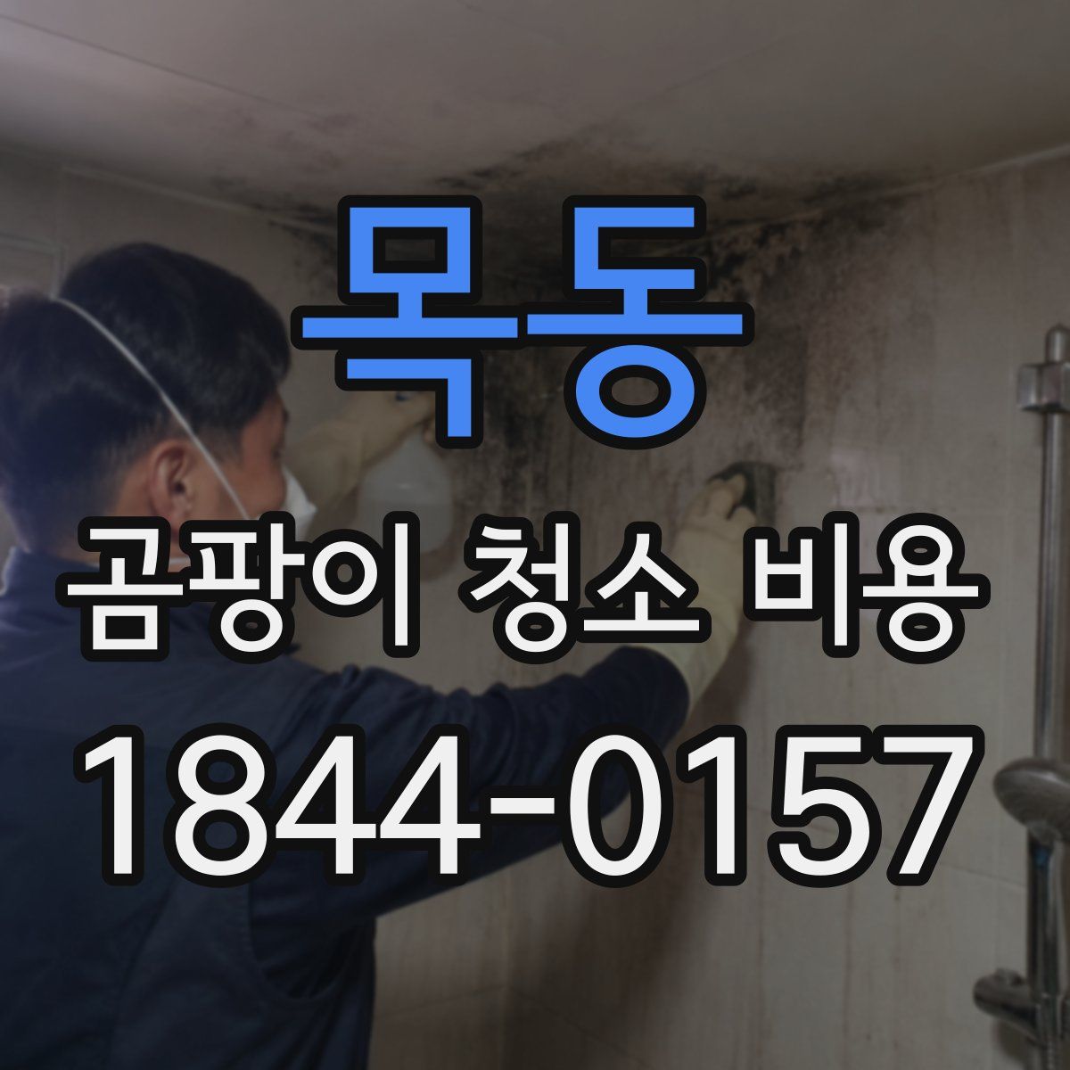 목동 곰팡이 청소 비용