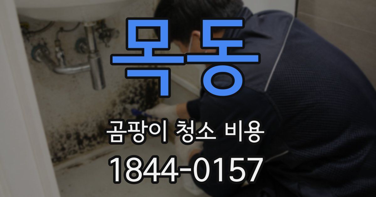 목동 곰팡이 청소 비용