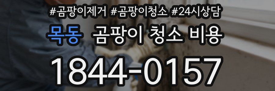 목동 곰팡이 청소 비용