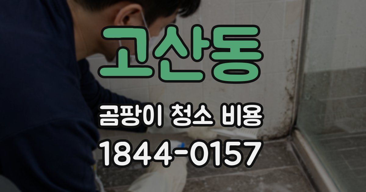고산동 곰팡이 청소 비용