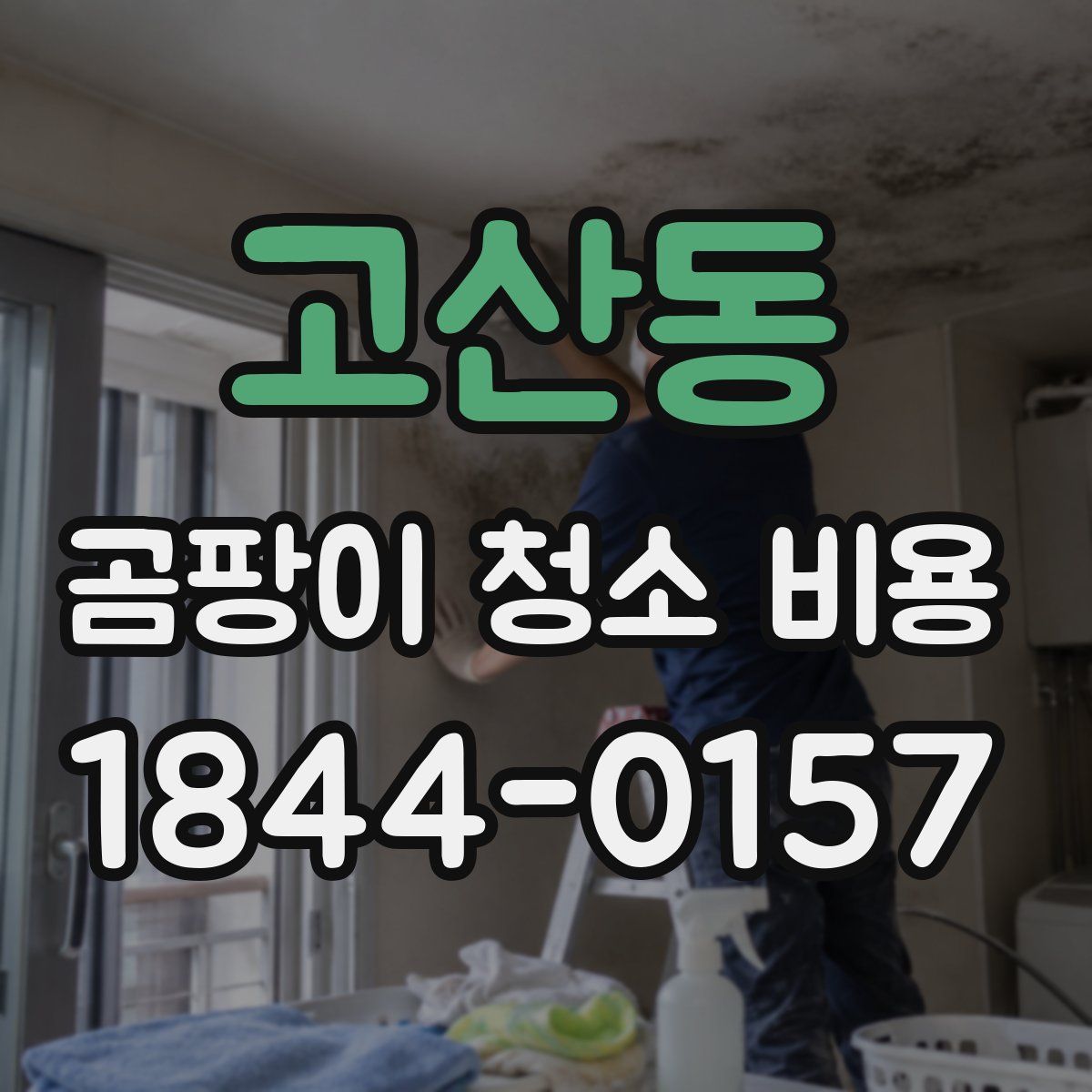 고산동 곰팡이 청소 비용