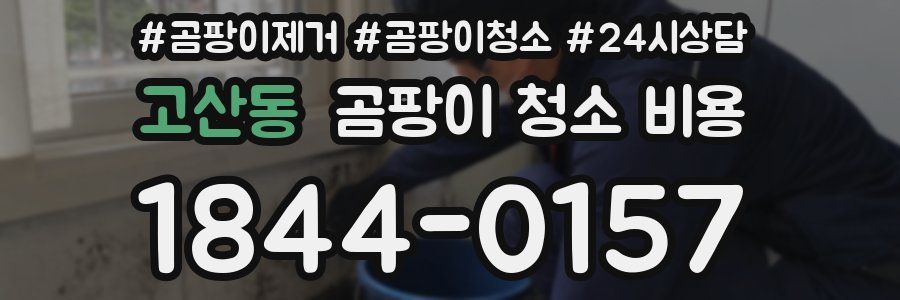 고산동 곰팡이 청소 비용