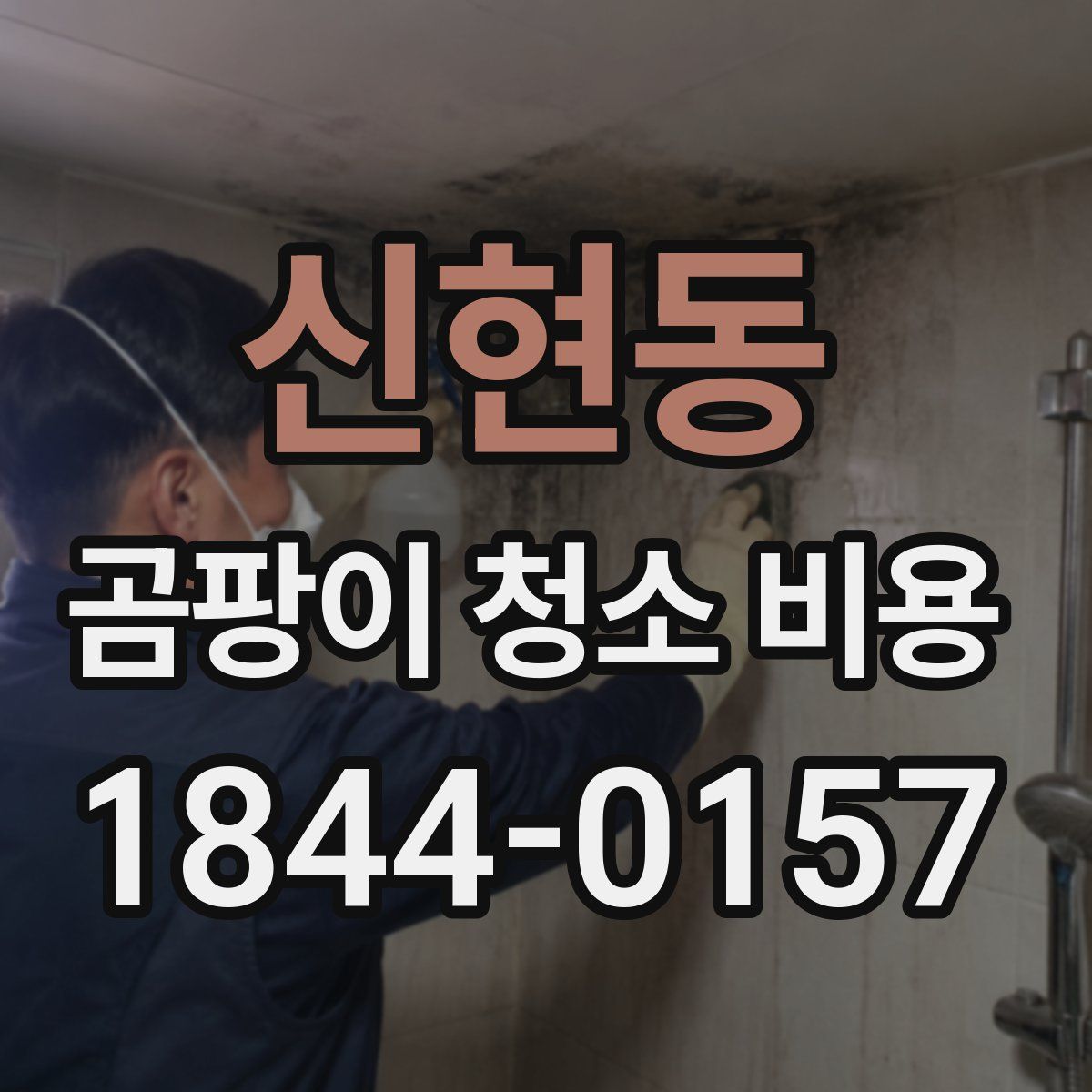 신현동 곰팡이 청소 비용