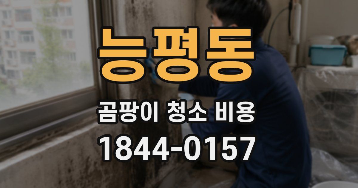 능평동 곰팡이 청소 비용