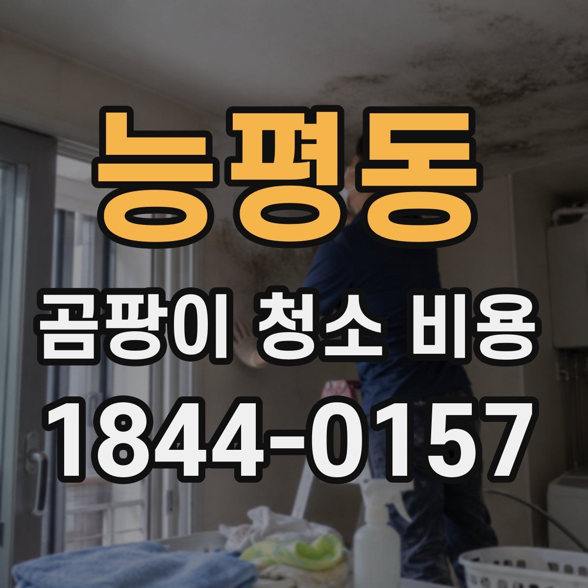 능평동 곰팡이 청소 비용