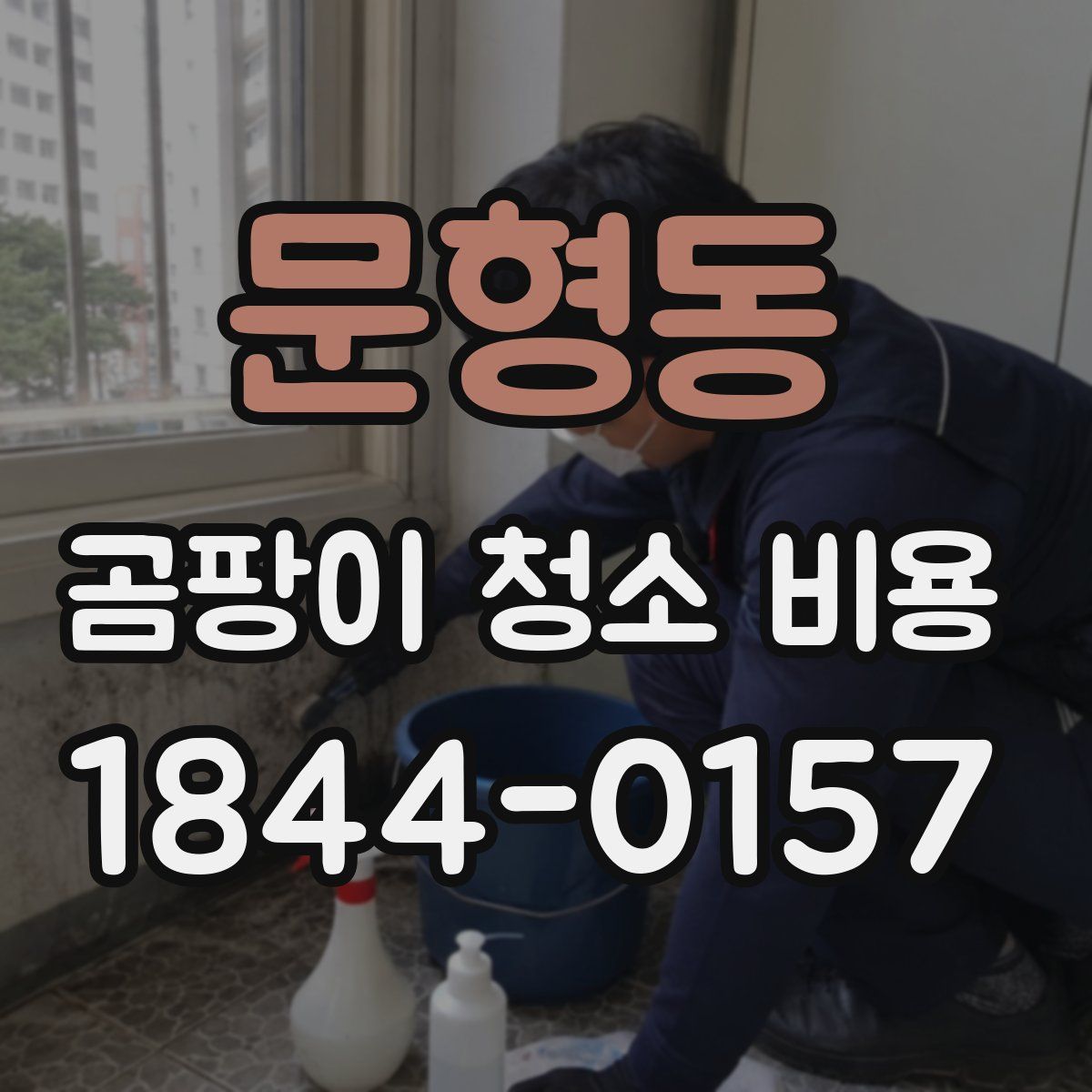 문형동 곰팡이 청소 비용