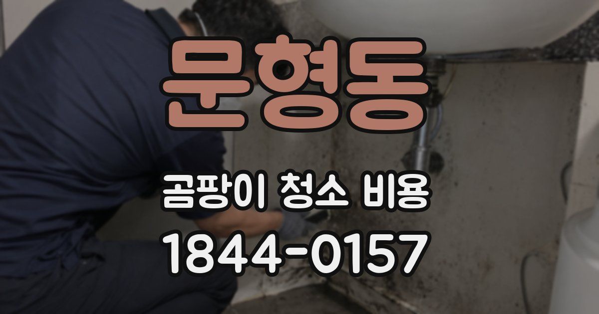 문형동 곰팡이 청소 비용