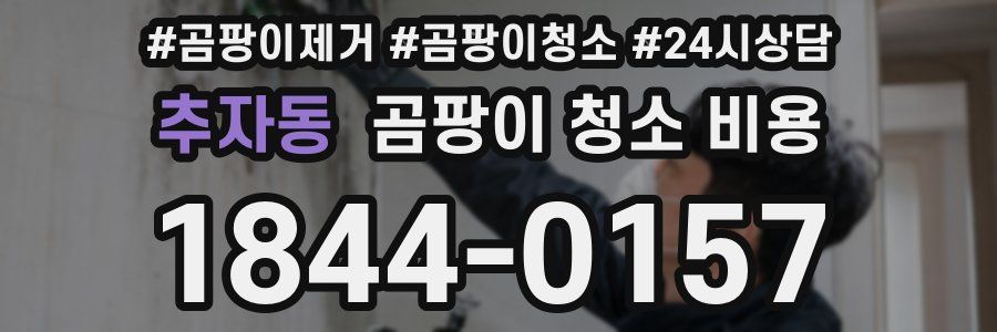 추자동 곰팡이 청소 비용