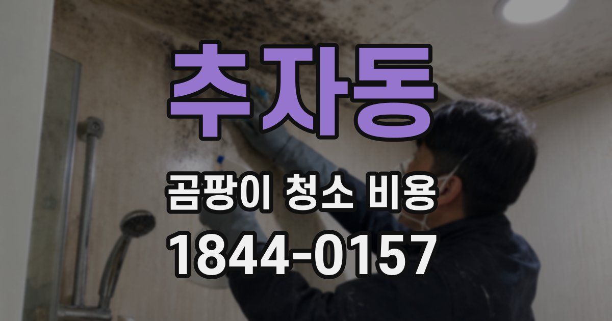 추자동 곰팡이 청소 비용