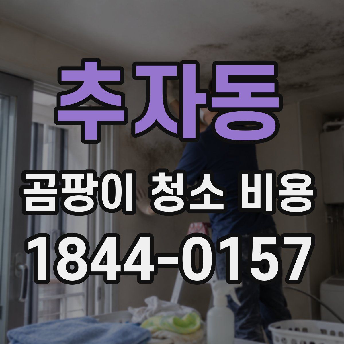 추자동 곰팡이 청소 비용