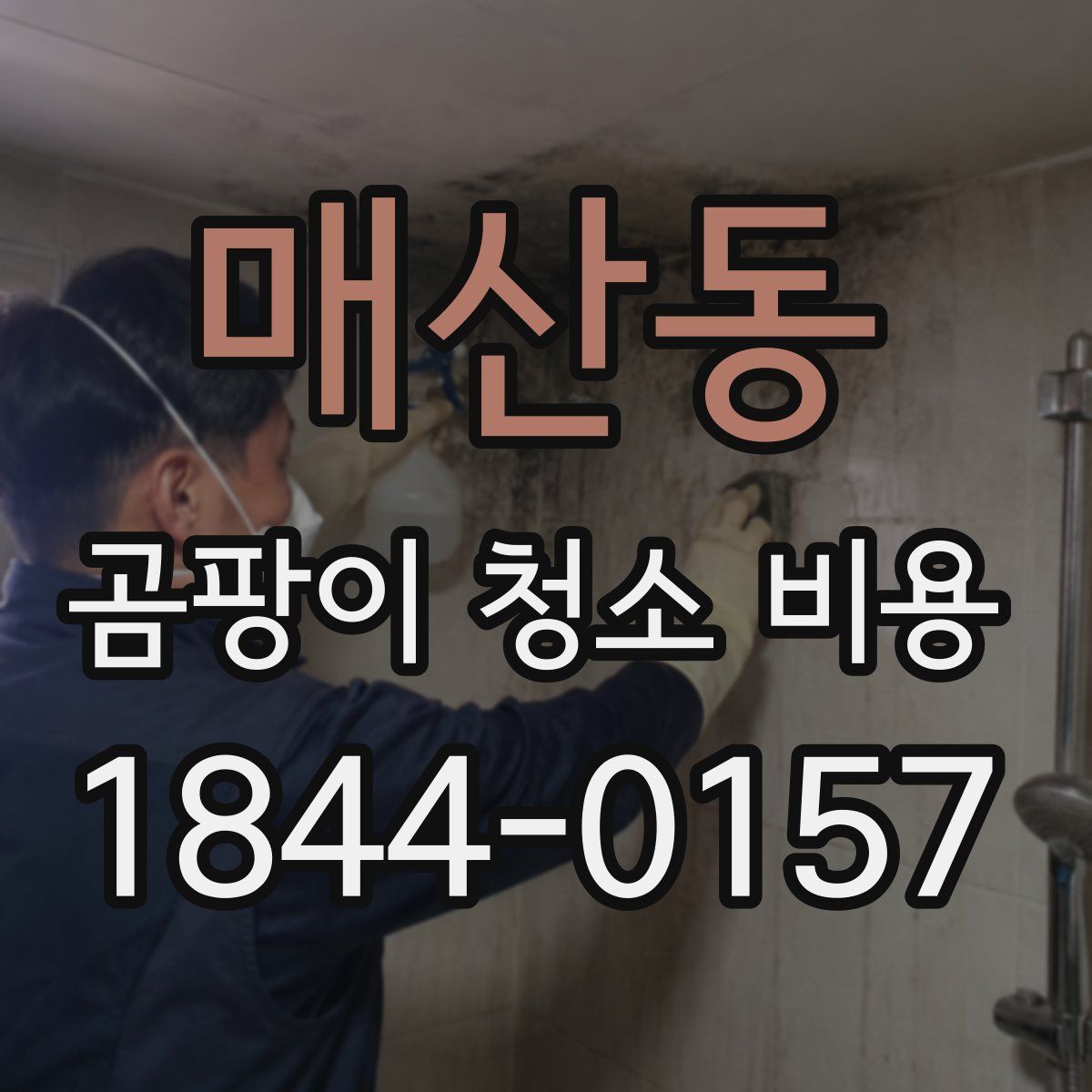 매산동 곰팡이 청소 비용