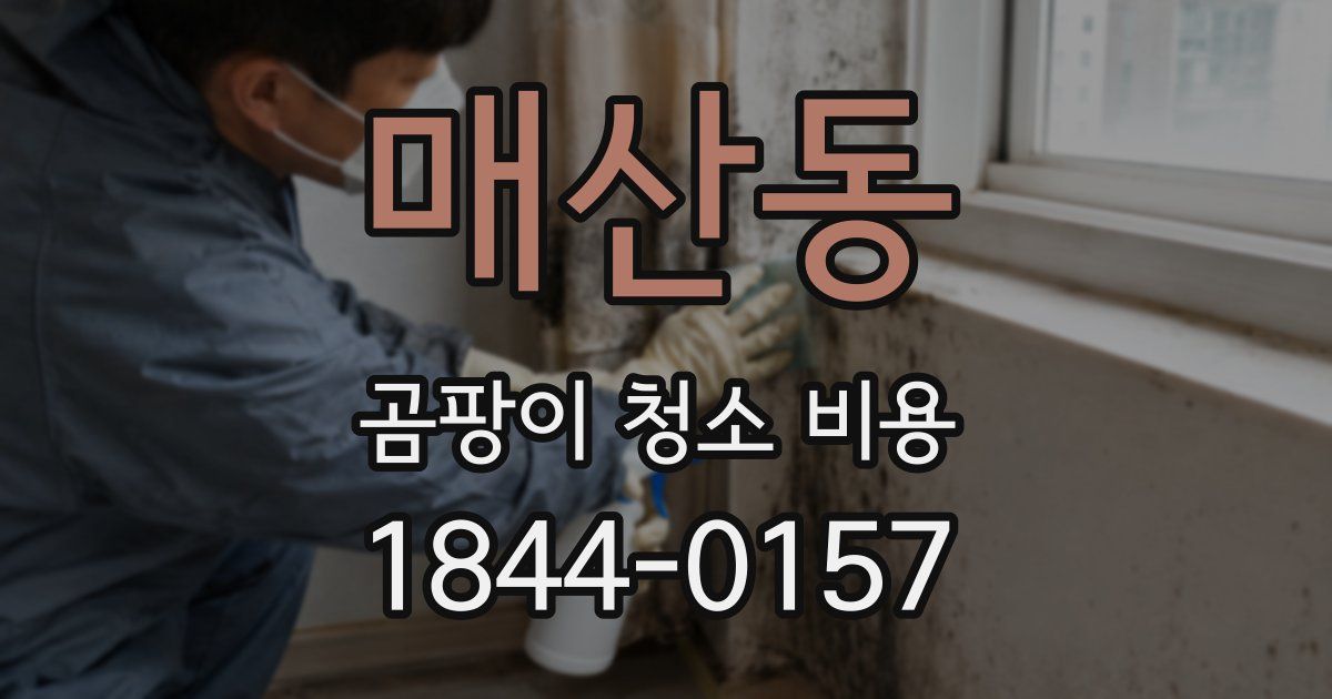 매산동 곰팡이 청소 비용