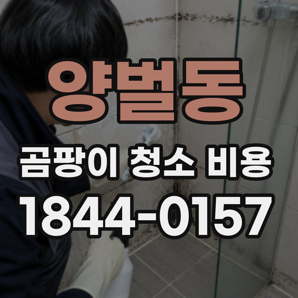 양벌동 곰팡이 청소 비용