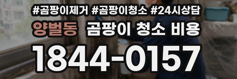 양벌동 곰팡이 청소 비용