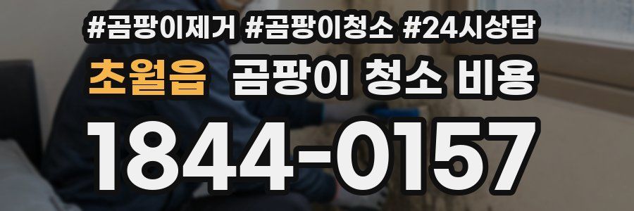 초월읍 곰팡이 청소 비용