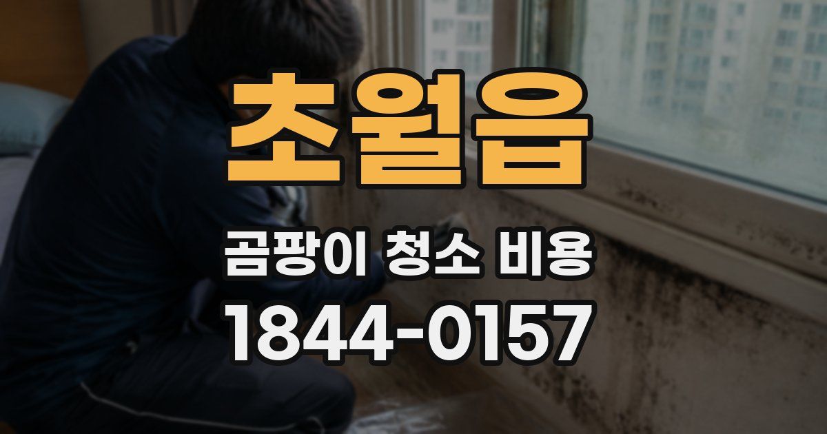 초월읍 곰팡이 청소 비용