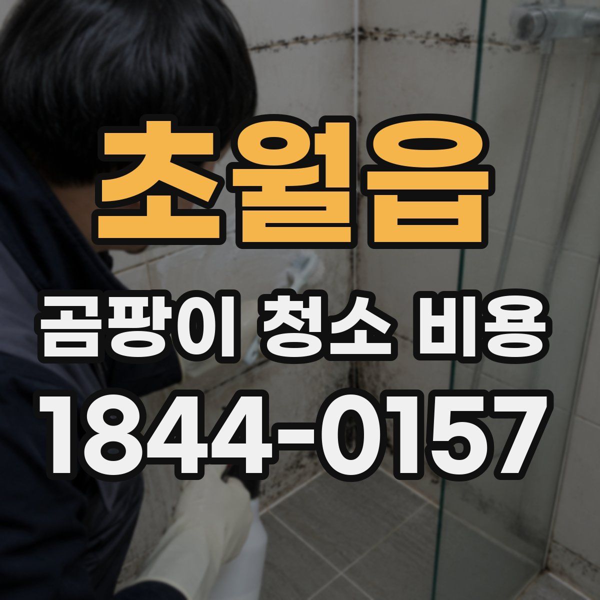 초월읍 곰팡이 청소 비용