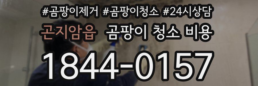 곤지암읍 곰팡이 청소 비용