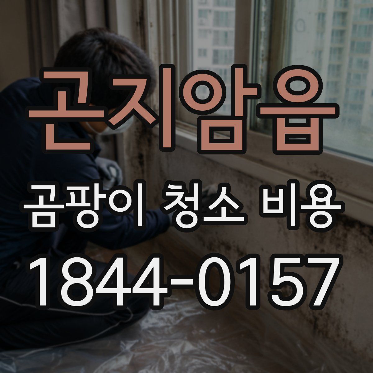 곤지암읍 곰팡이 청소 비용
