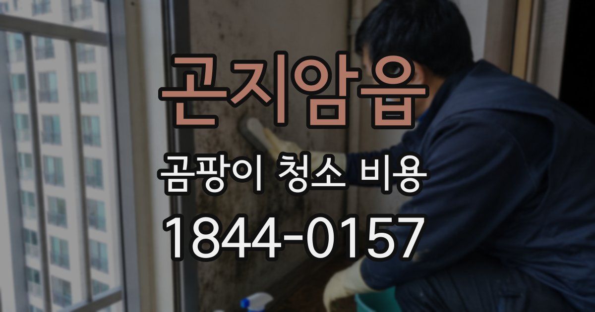 곤지암읍 곰팡이 청소 비용