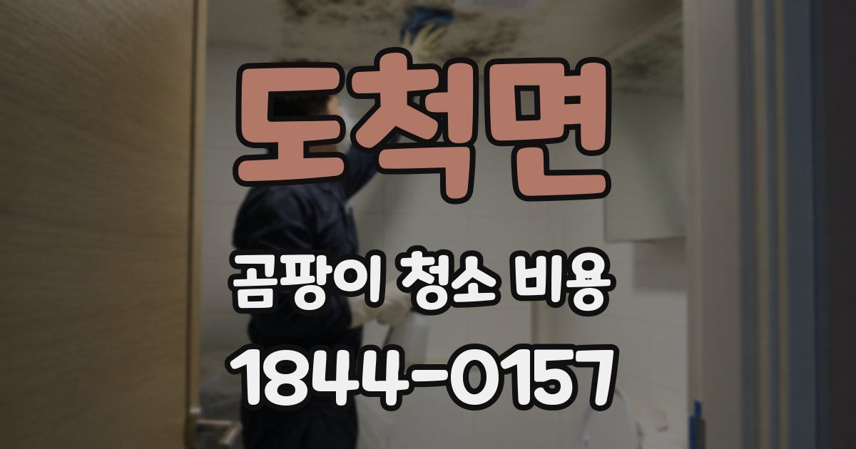 도척면 곰팡이 청소 비용