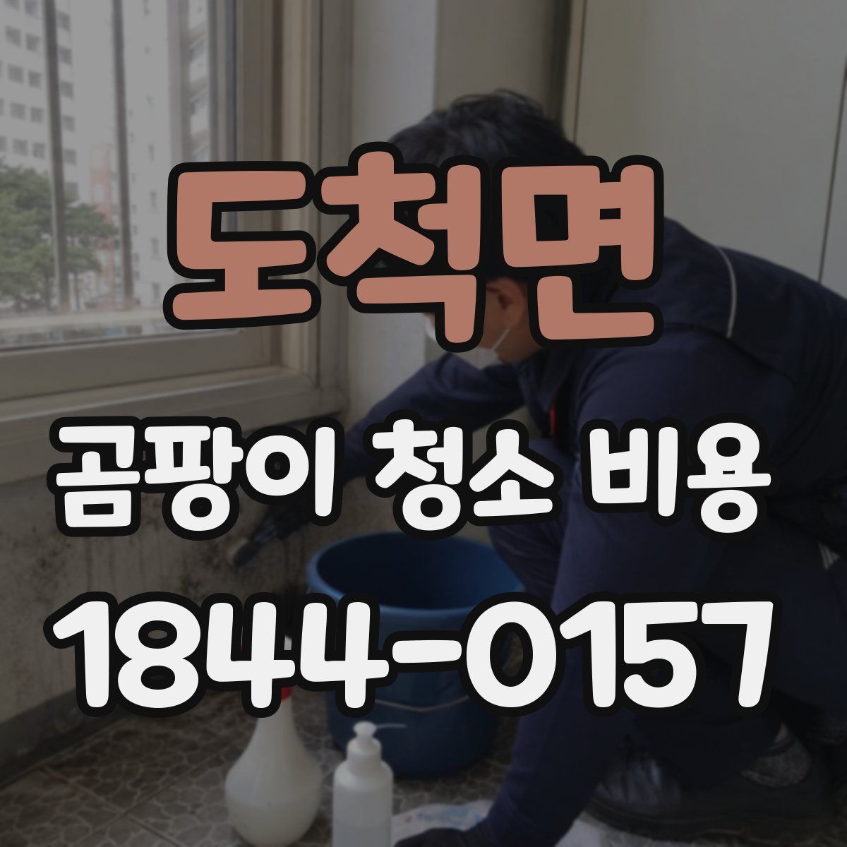 도척면 곰팡이 청소 비용