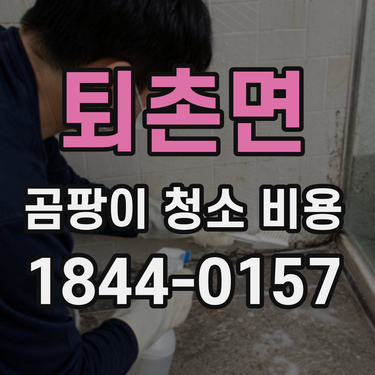 퇴촌면 곰팡이 청소 비용