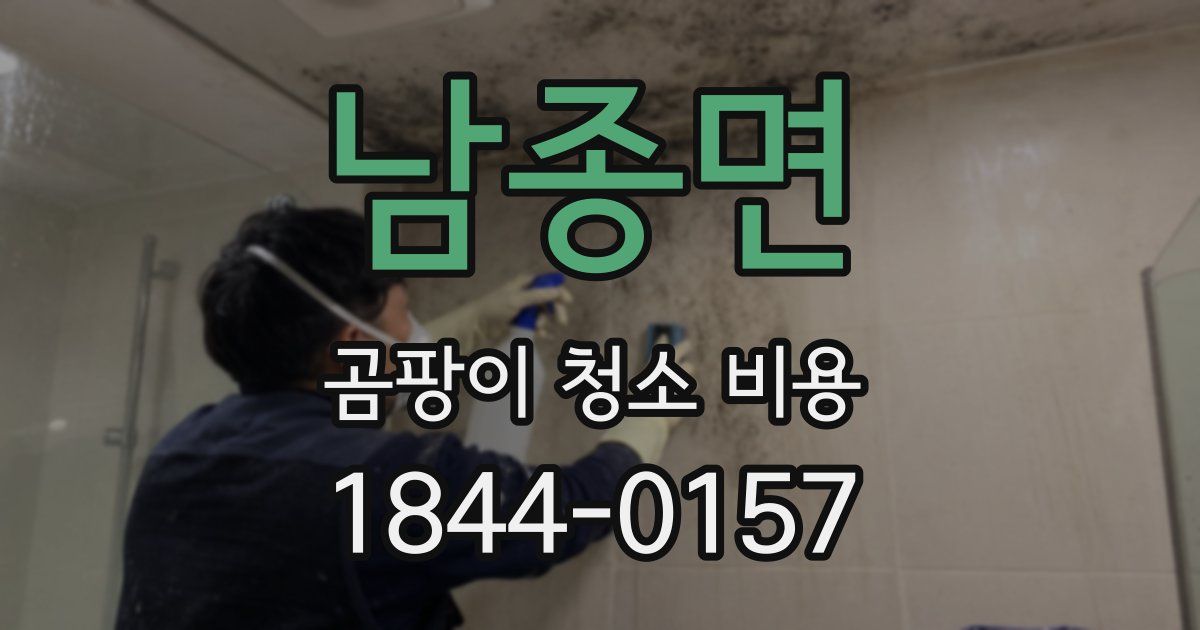 남종면 곰팡이 청소 비용